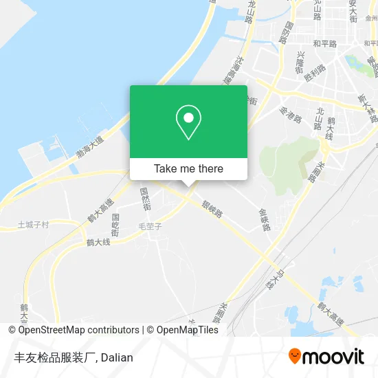 丰友检品服装厂 map