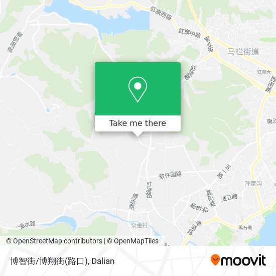 博智街/博翔街(路口) map