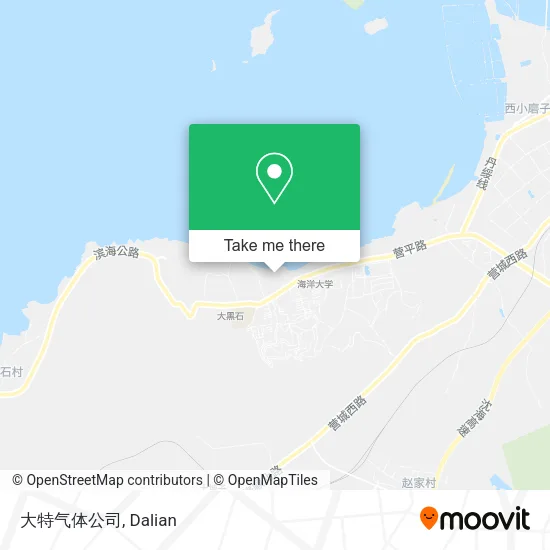 大特气体公司 map