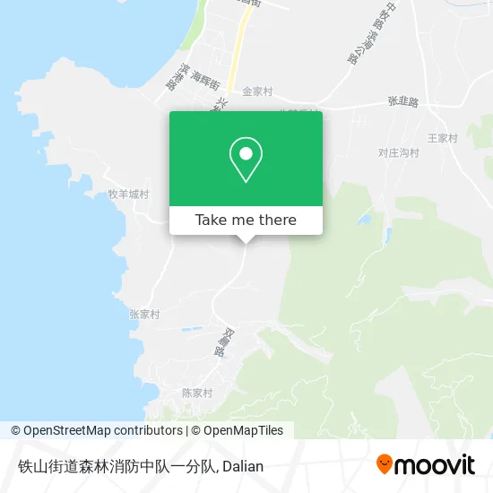 铁山街道森林消防中队一分队 map