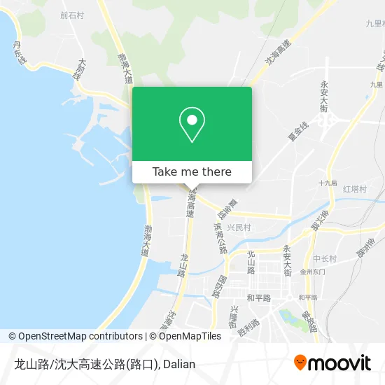 龙山路/沈大高速公路(路口) map