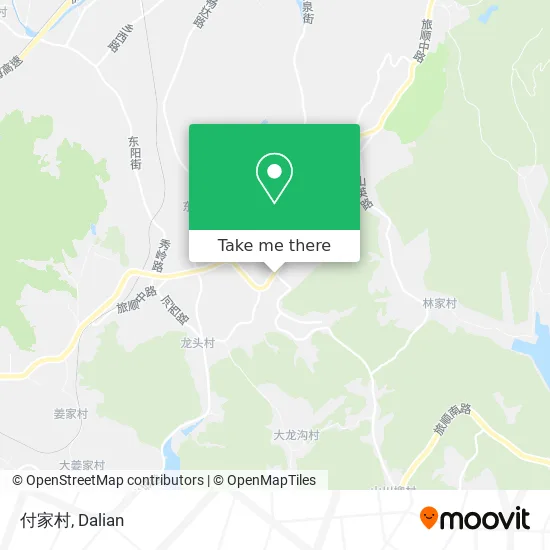 付家村 map
