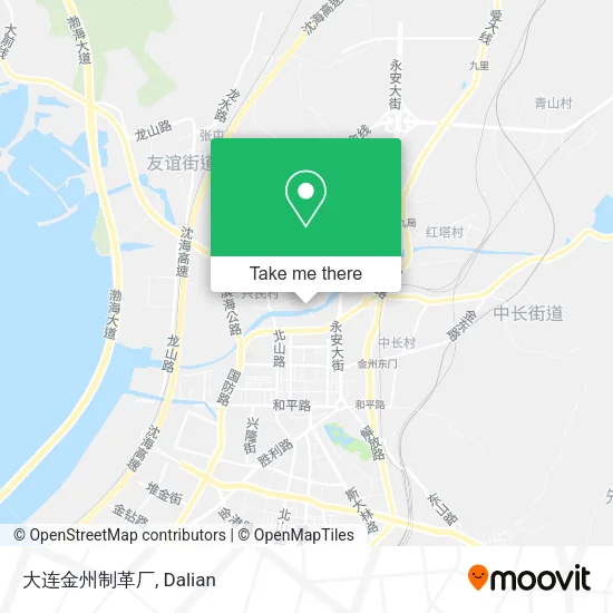 大连金州制革厂 map