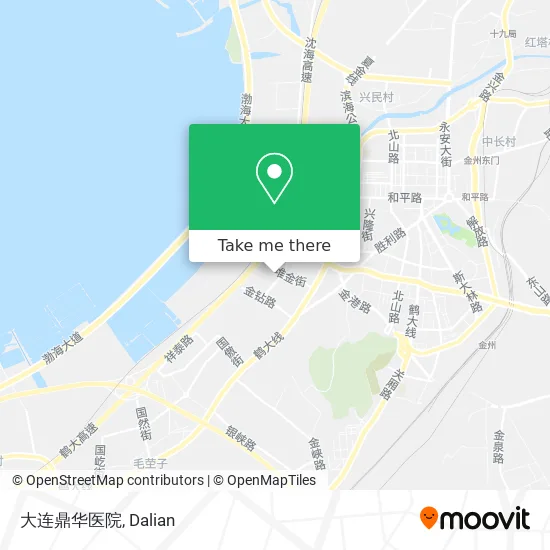 大连鼎华医院 map