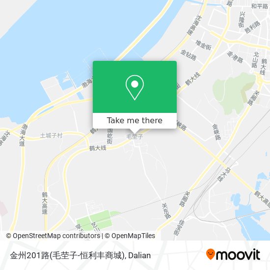 金州201路(毛茔子-恒利丰商城) map