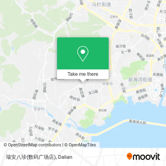 瑞安八珍(数码广场店) map