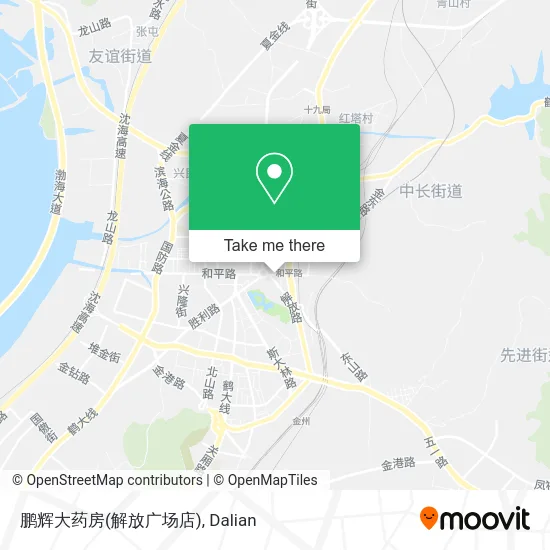 鹏辉大药房(解放广场店) map