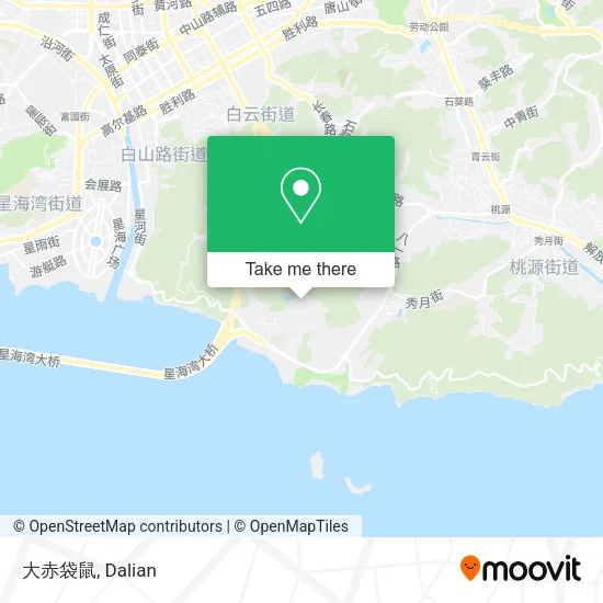 大赤袋鼠 map