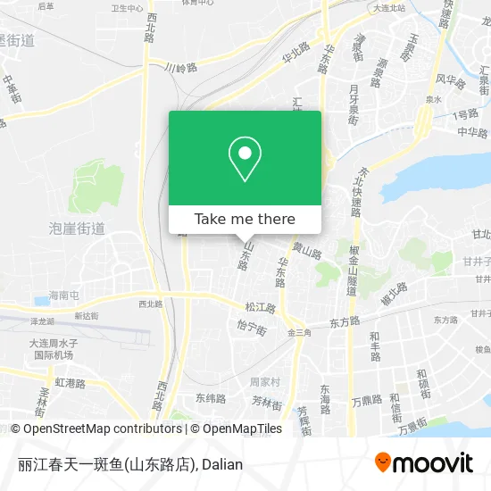 丽江春天一斑鱼(山东路店) map
