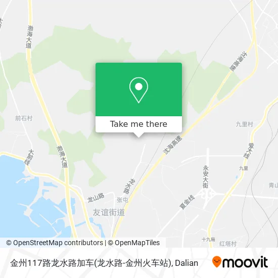 金州117路龙水路加车(龙水路-金州火车站) map