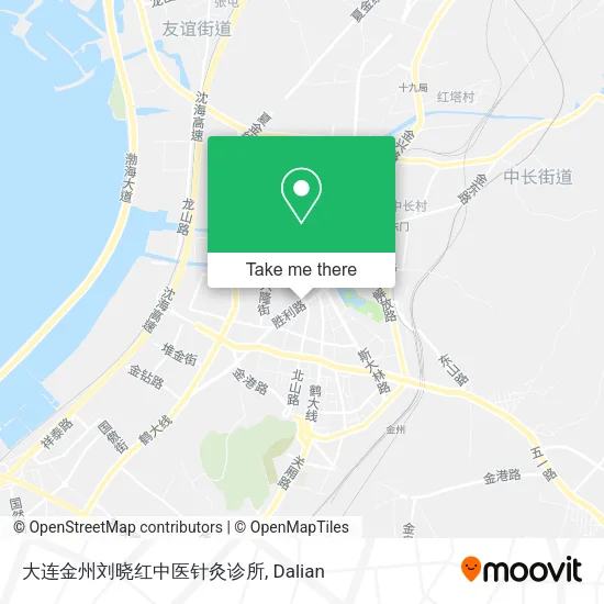大连金州刘晓红中医针灸诊所 map