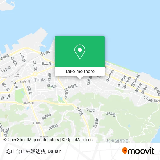 炮山台山林溜达猪 map