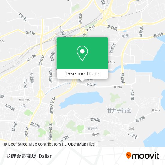 龙畔金泉商场 map