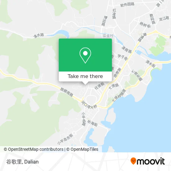 谷歌里 map