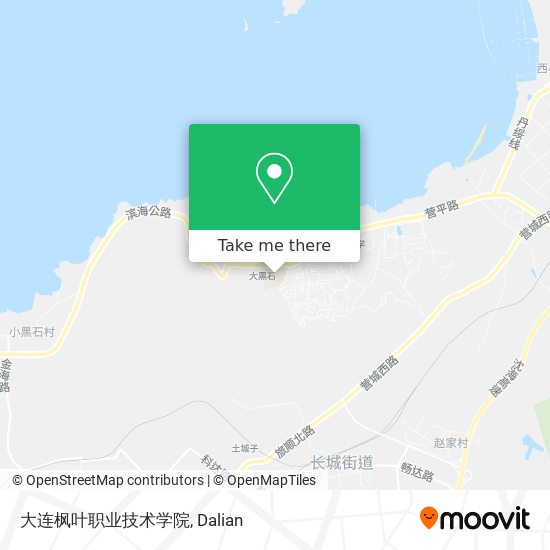 大连枫叶职业技术学院 map