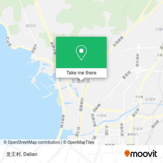 龙王村 map