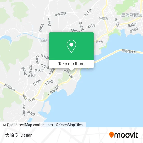 大脑瓜 map