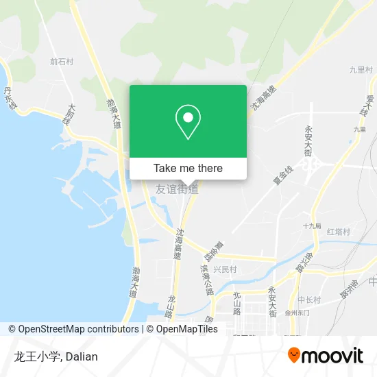 龙王小学 map