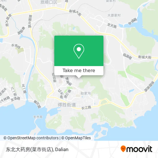 东北大药房(菜市街店) map