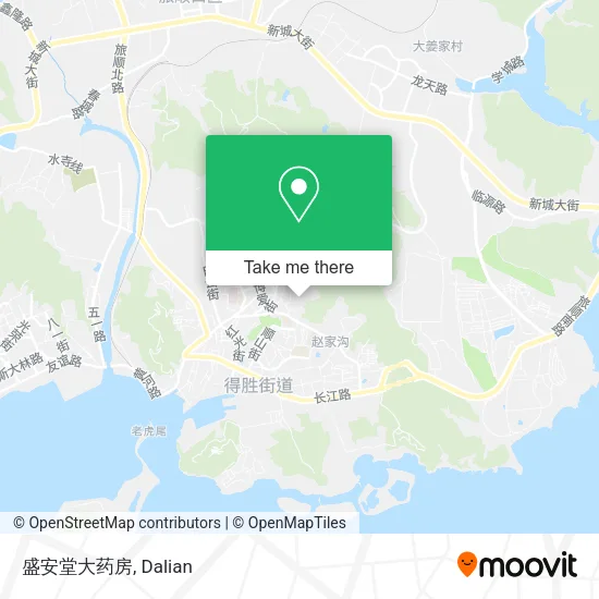 盛安堂大药房 map