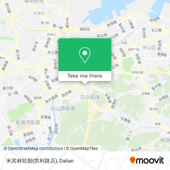 米其林轮胎(胜利路店) map