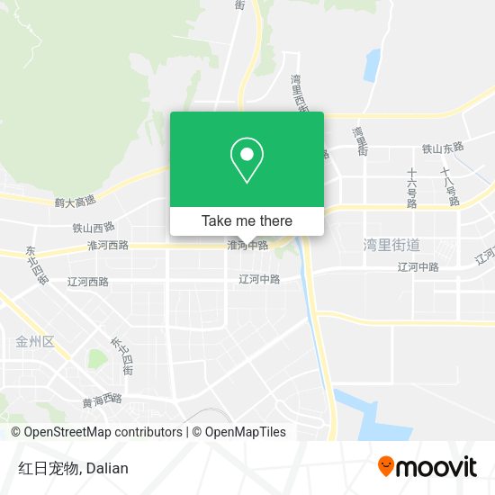 红日宠物 map