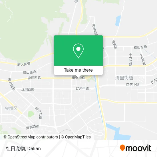 红日宠物 map