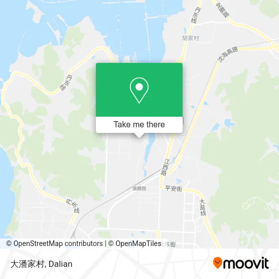 大潘家村 map