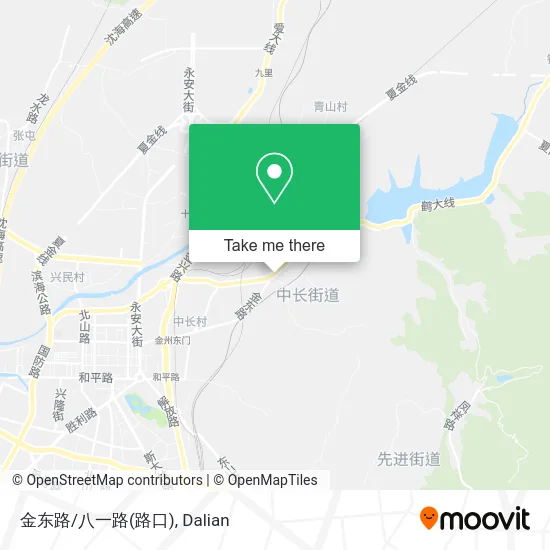 金东路/八一路(路口) map