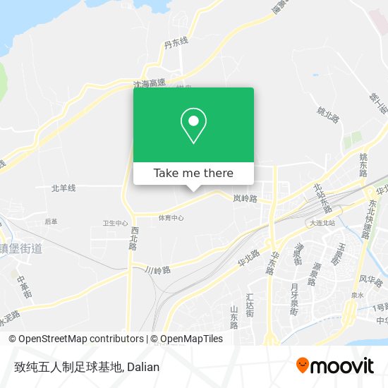 致纯五人制足球基地 map