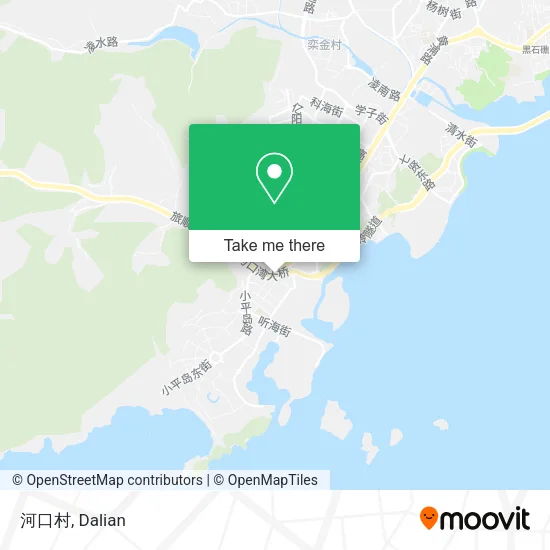 河口村 map