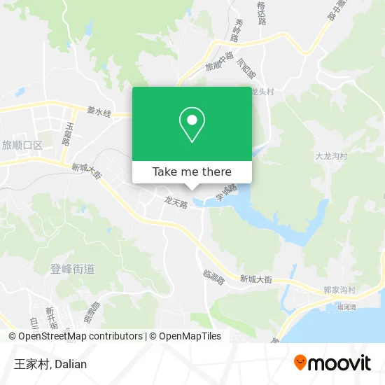 王家村 map