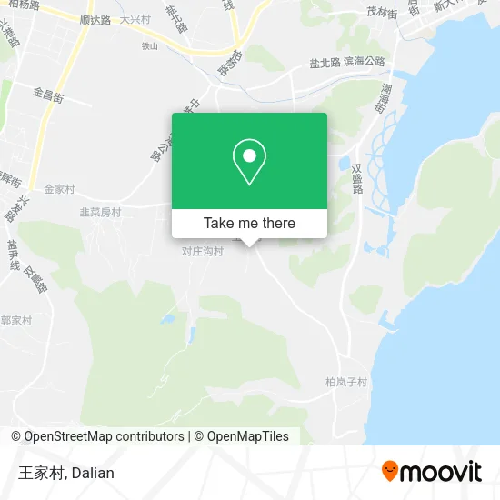 王家村 map