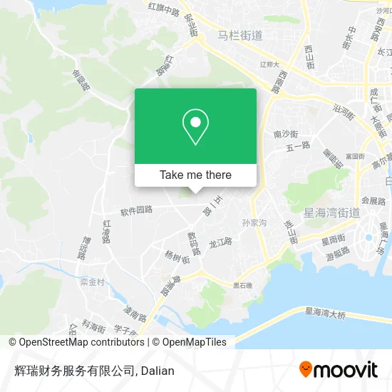 辉瑞财务服务有限公司 map