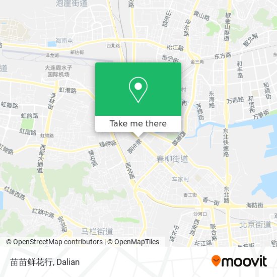 苗苗鲜花行 map