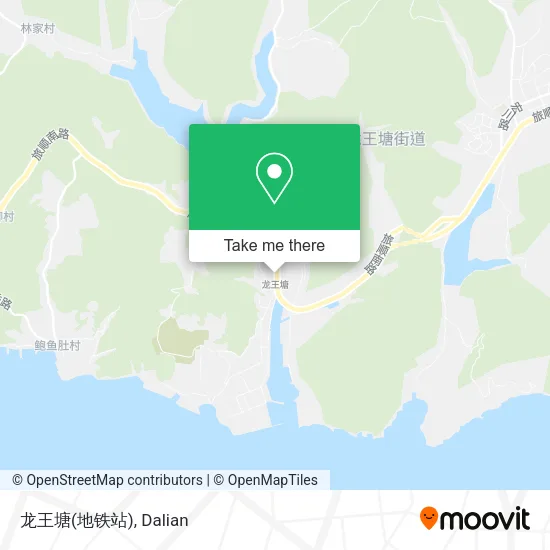 龙王塘(地铁站) map