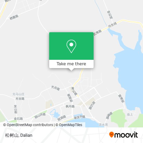 松树山 map