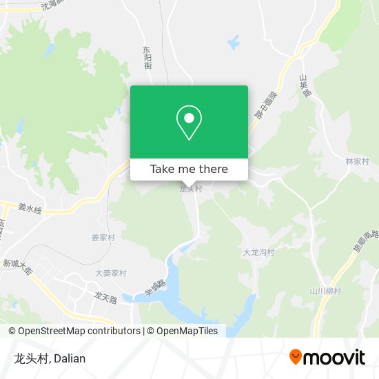 龙头村 map