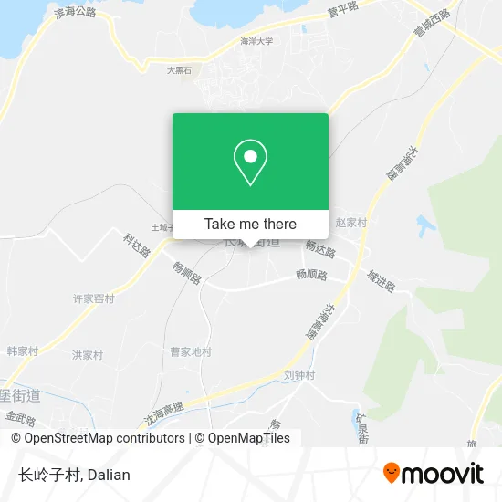 长岭子村 map