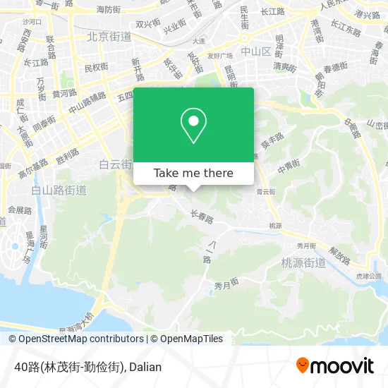 40路(林茂街-勤俭街) map