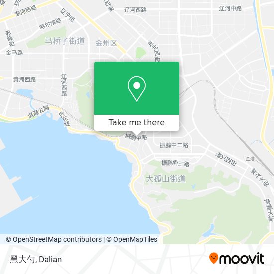 黑大勺 map
