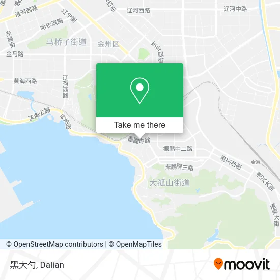 黑大勺 map