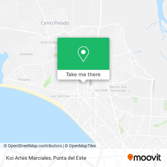 Koi Artes Marciales map