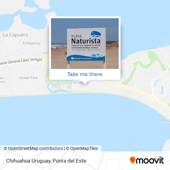 Chihuahua Uruguay map