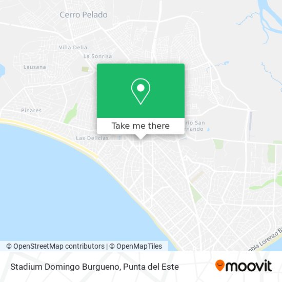 Mapa de Stadium Domingo Burgueno