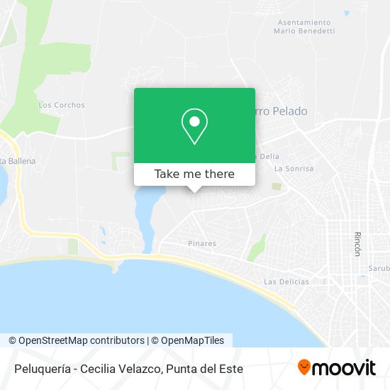 Mapa de Peluquería - Cecilia Velazco