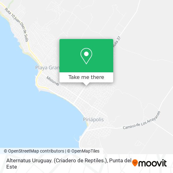 Alternatus Uruguay. (Criadero de Reptiles.) map