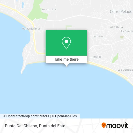 Punta Del Chileno map