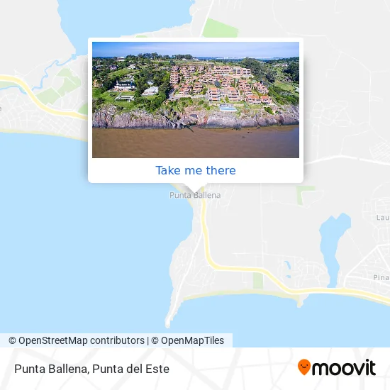 Punta Ballena map