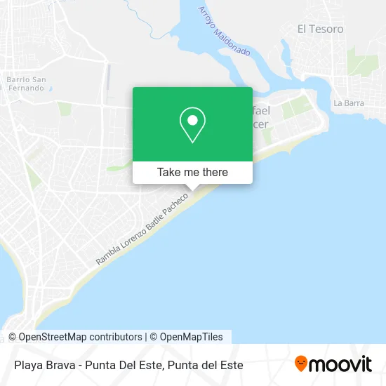 Playa Brava - Punta Del Este map